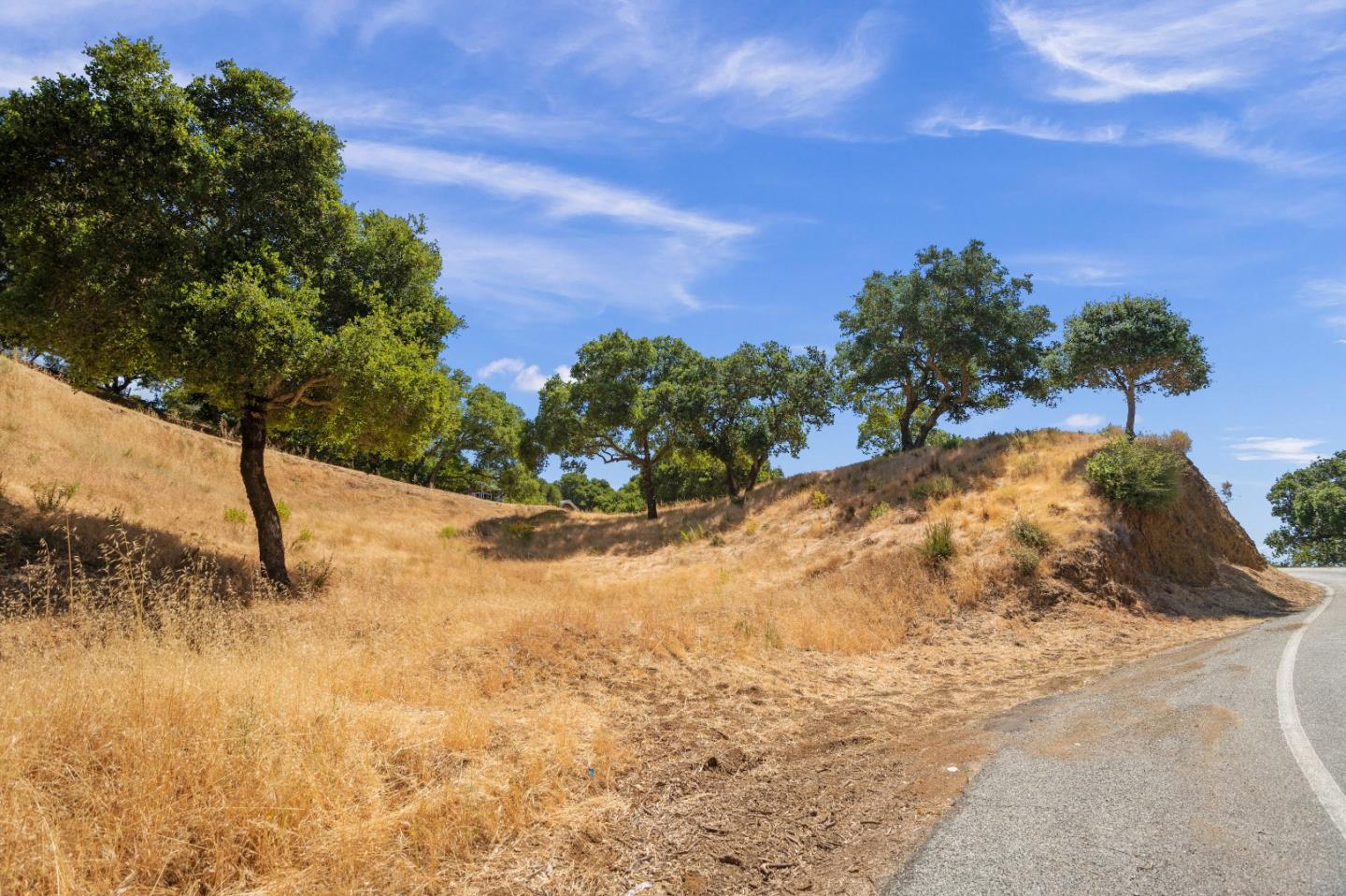 0 Moody Road Los Altos, CA 94022 - Photo 4 of 6 a view of a yard with trees