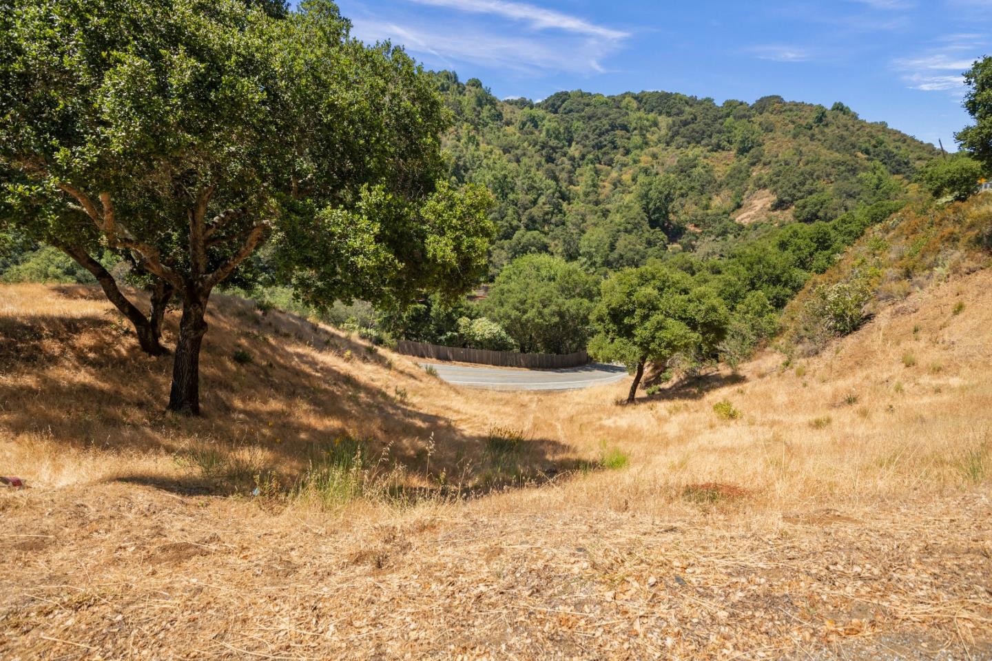 0 Moody Road Los Altos, CA 94022 - Photo 5 of 6 a view of a yard with a tree