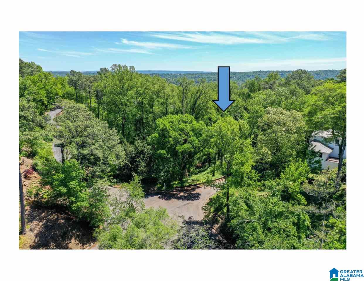 3835 Redmont Road, Unit 1 LOT Birmingham, AL 35213 - Photo 3 of 9
