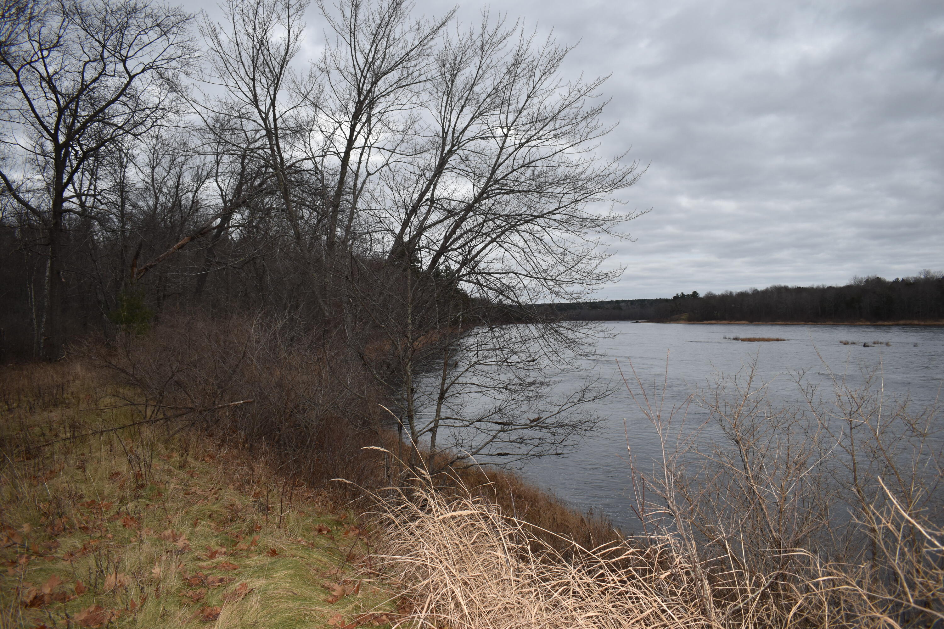 1097 North Chester Road Lincoln, ME 04457 - Photo 8 of 17 DSC_0119