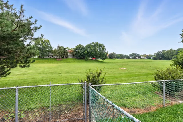 a view of a garden with a slide
