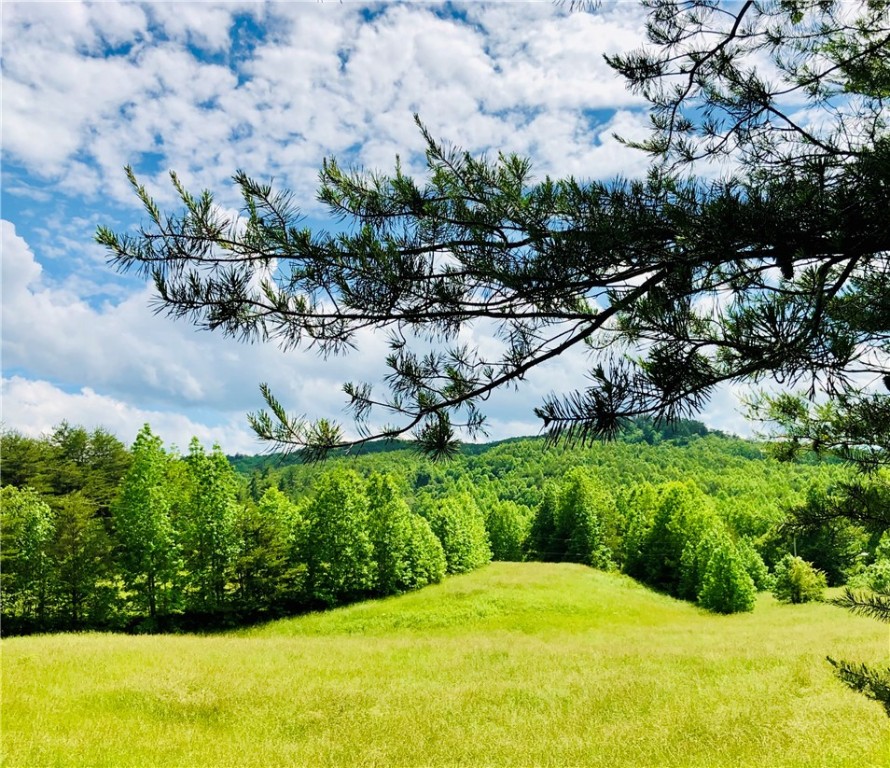 0 Brasstown Road Westminster, SC 29693 - Photo 14 of 14