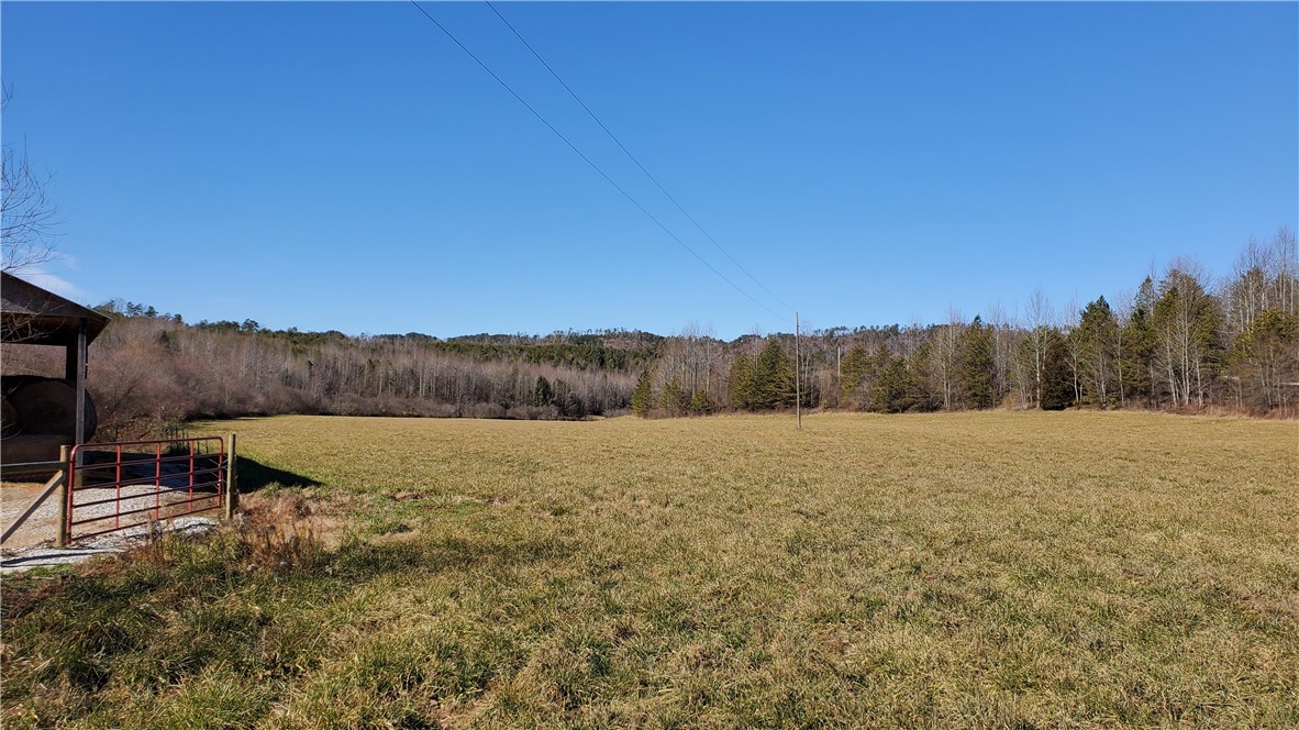 0 Brasstown Road Westminster, SC 29693 - Photo 5 of 14