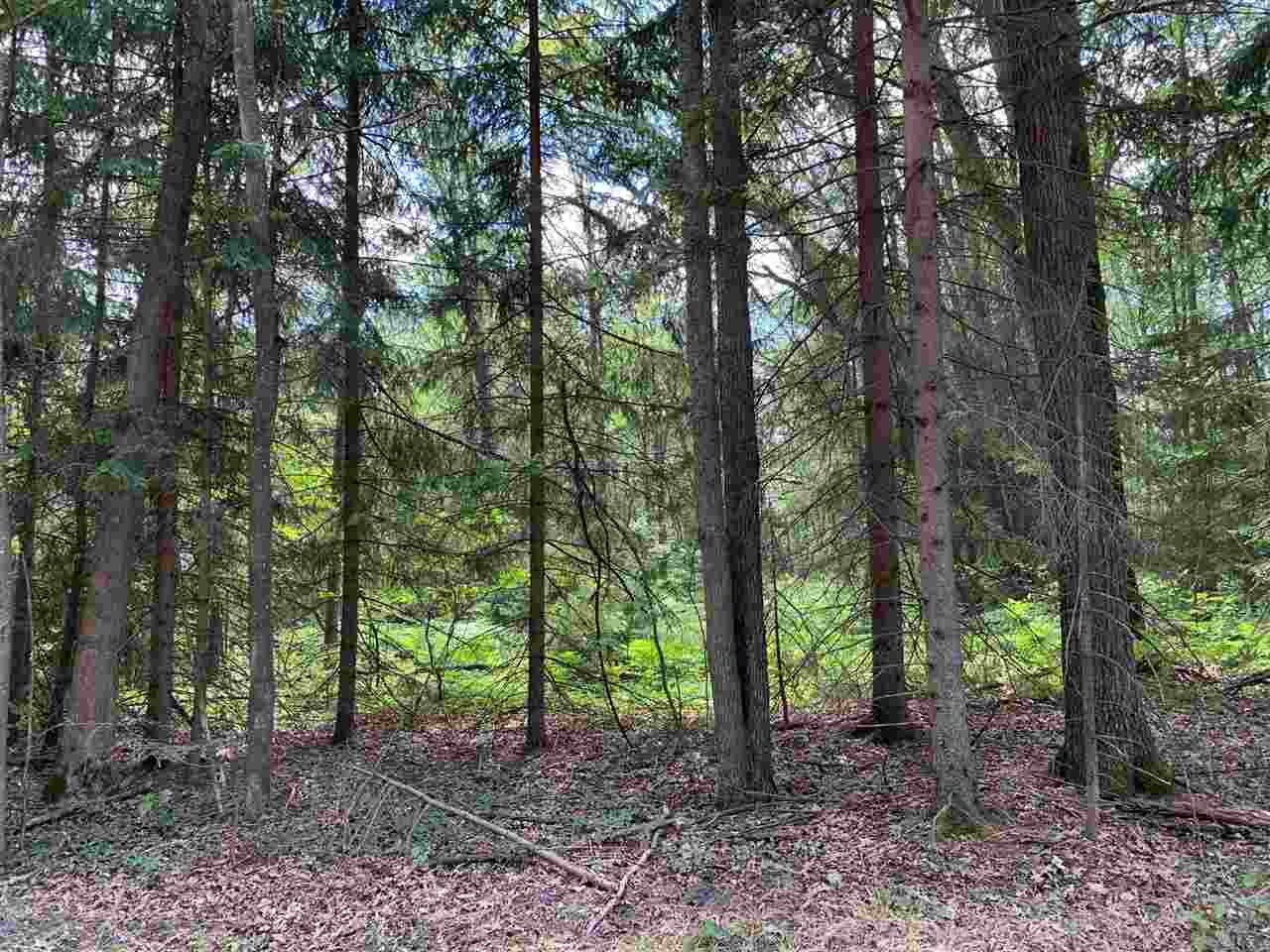 Xxx East Pere Cheney Road Roscommon, MI 48653 - Photo 26 of 30 Gallery Image 26