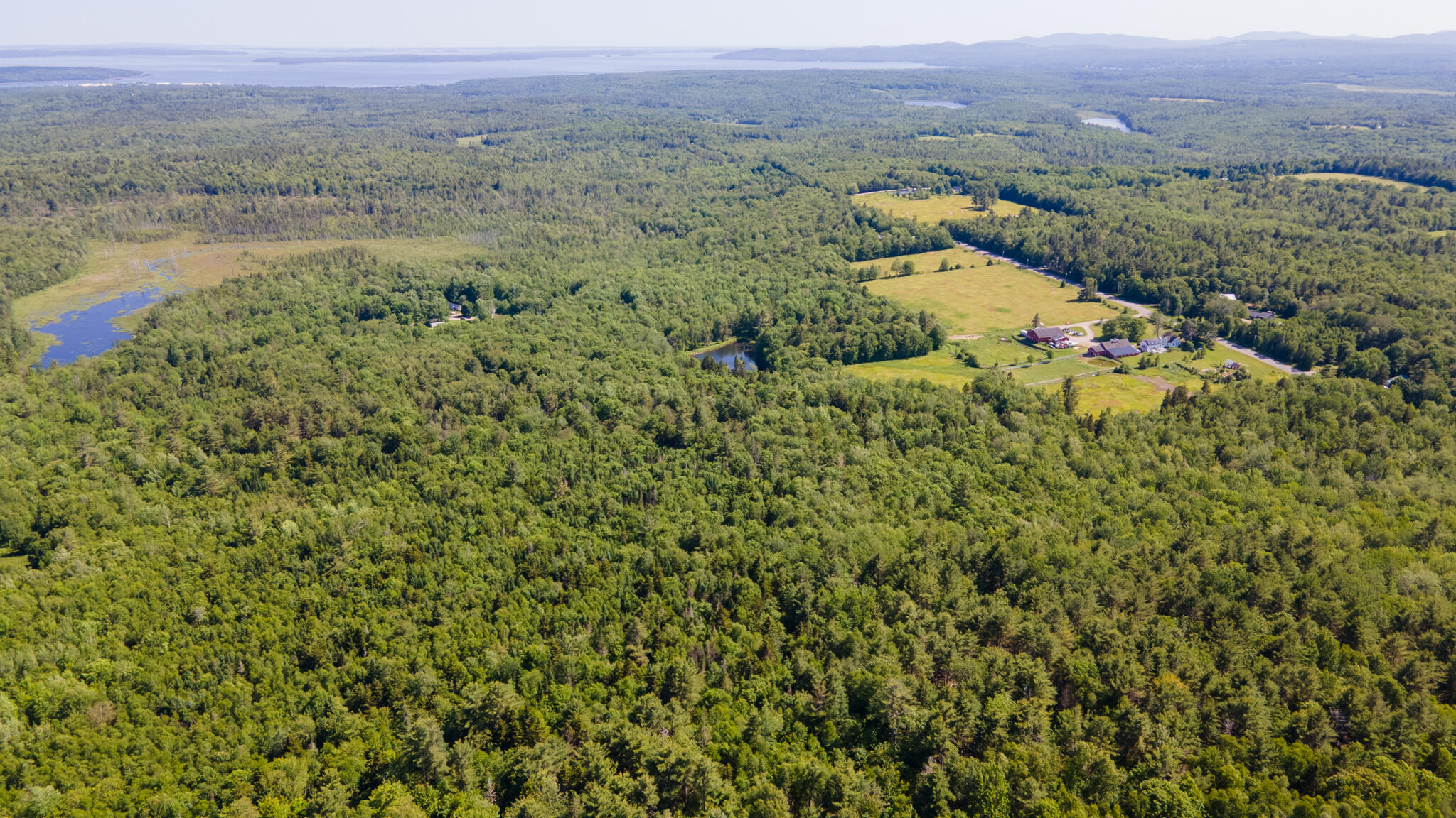 533 Mt Ephraim Road Searsport, ME 04974 - Photo 104 of 111 20250621-DJI_0042-HDR