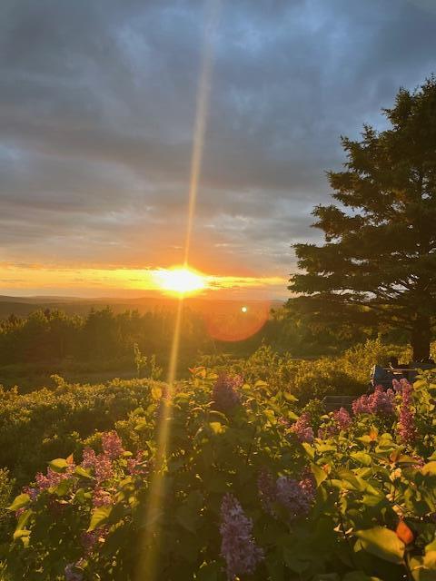 533 Mt Ephraim Road Searsport, ME 04974 - Photo 109 of 111 pic 9