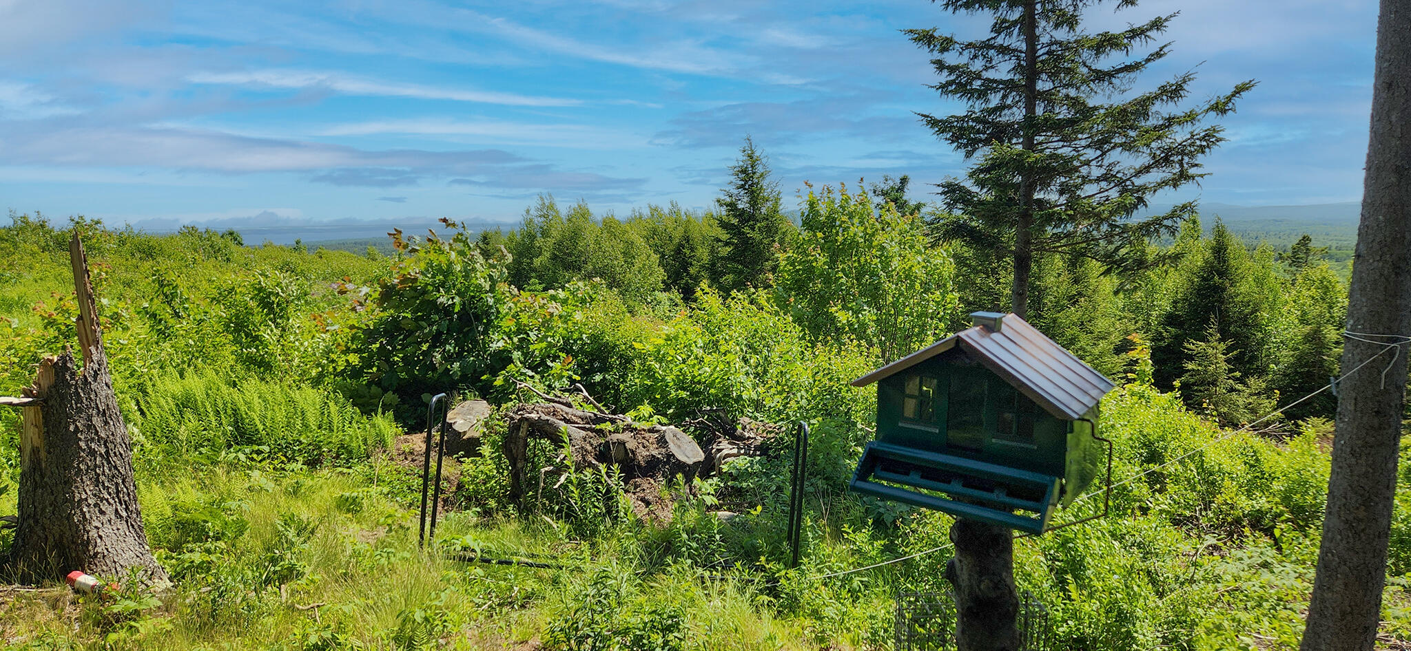 533 Mt Ephraim Road Searsport, ME 04974 - Photo 25 of 111 20250621_143852