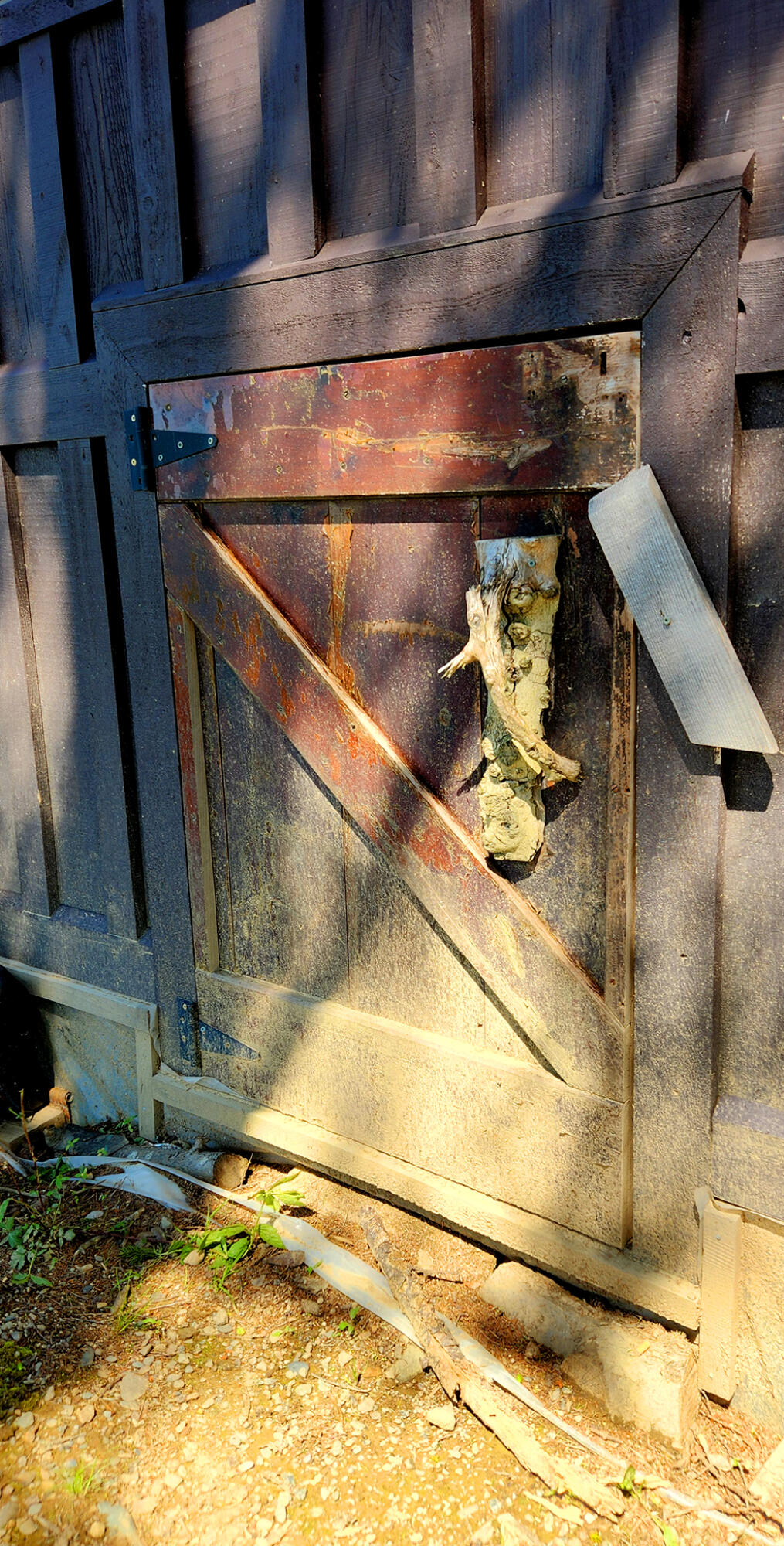 533 Mt Ephraim Road Searsport, ME 04974 - Photo 26 of 111 20250621_143947