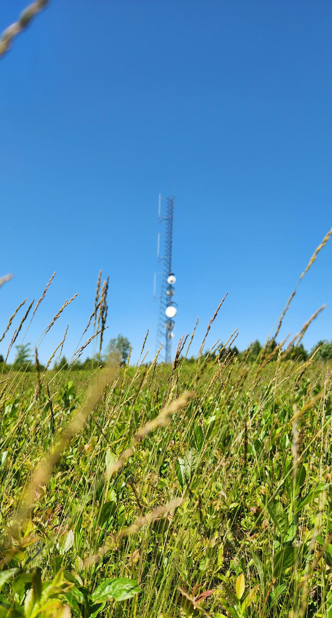 533 Mt Ephraim Road Searsport, ME 04974 - Photo 33 of 111 20250621_144626