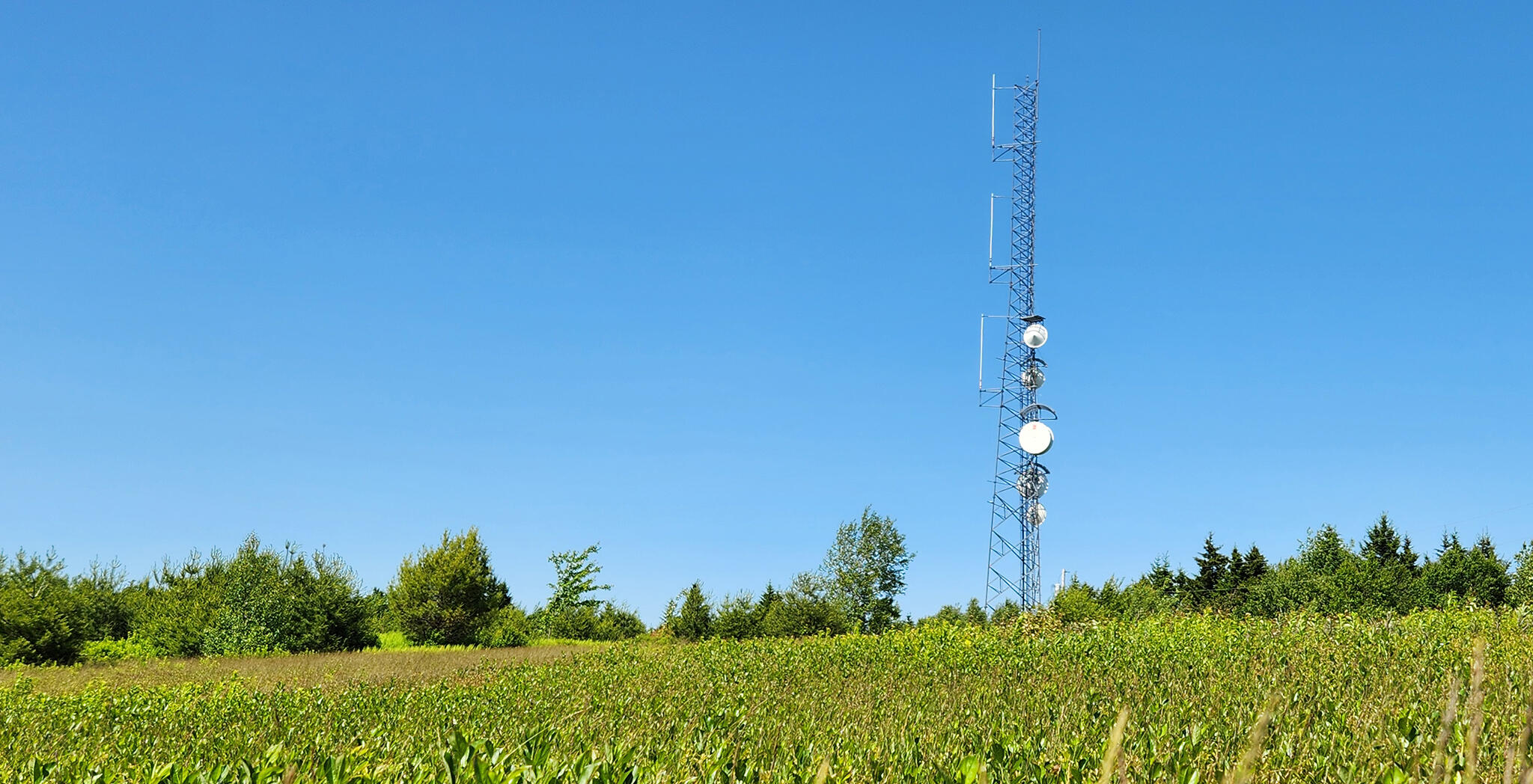 533 Mt Ephraim Road Searsport, ME 04974 - Photo 34 of 111 20250621_144648