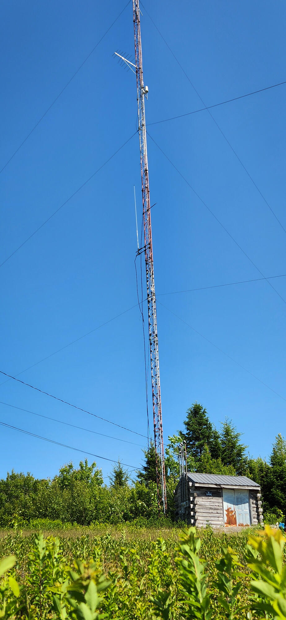 533 Mt Ephraim Road Searsport, ME 04974 - Photo 35 of 111 20250621_144703