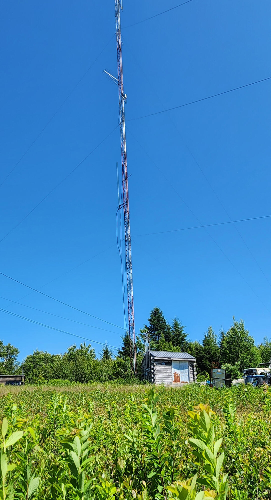 533 Mt Ephraim Road Searsport, ME 04974 - Photo 36 of 111 20250621_144722