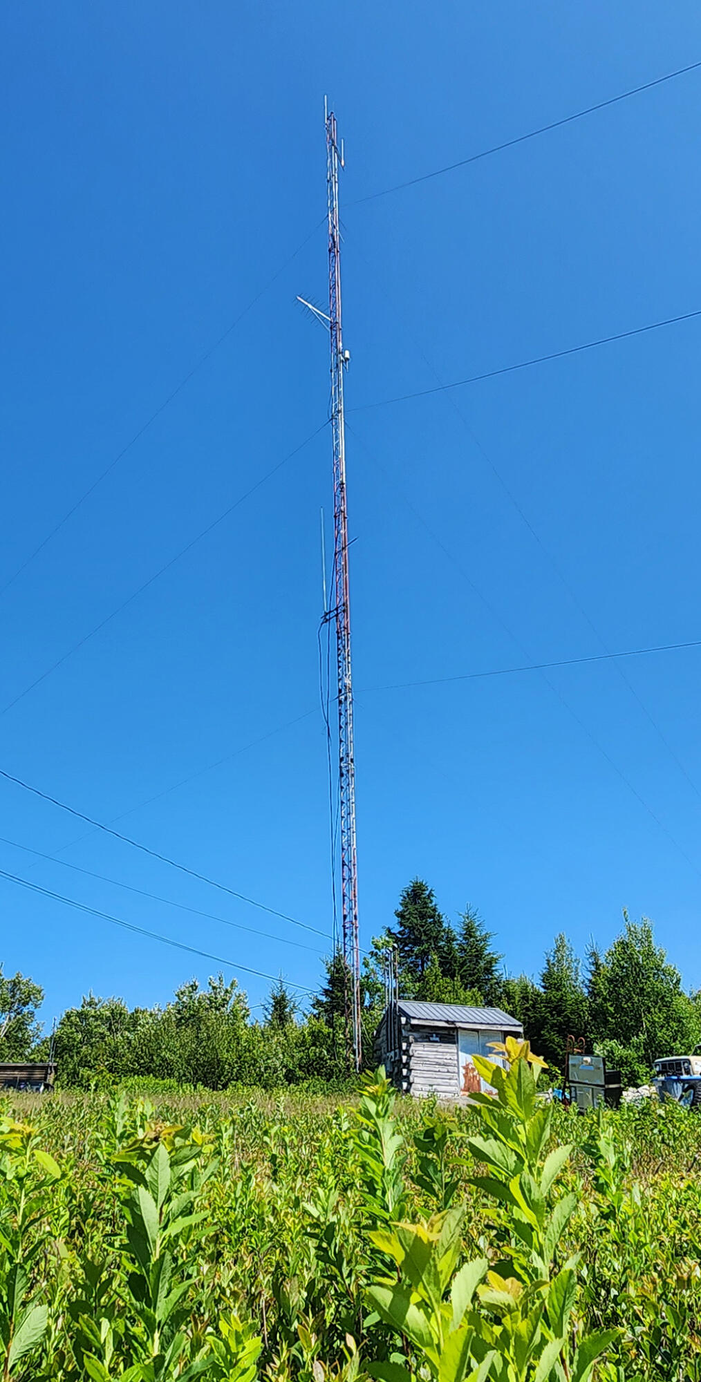 533 Mt Ephraim Road Searsport, ME 04974 - Photo 37 of 111 20250621_144737