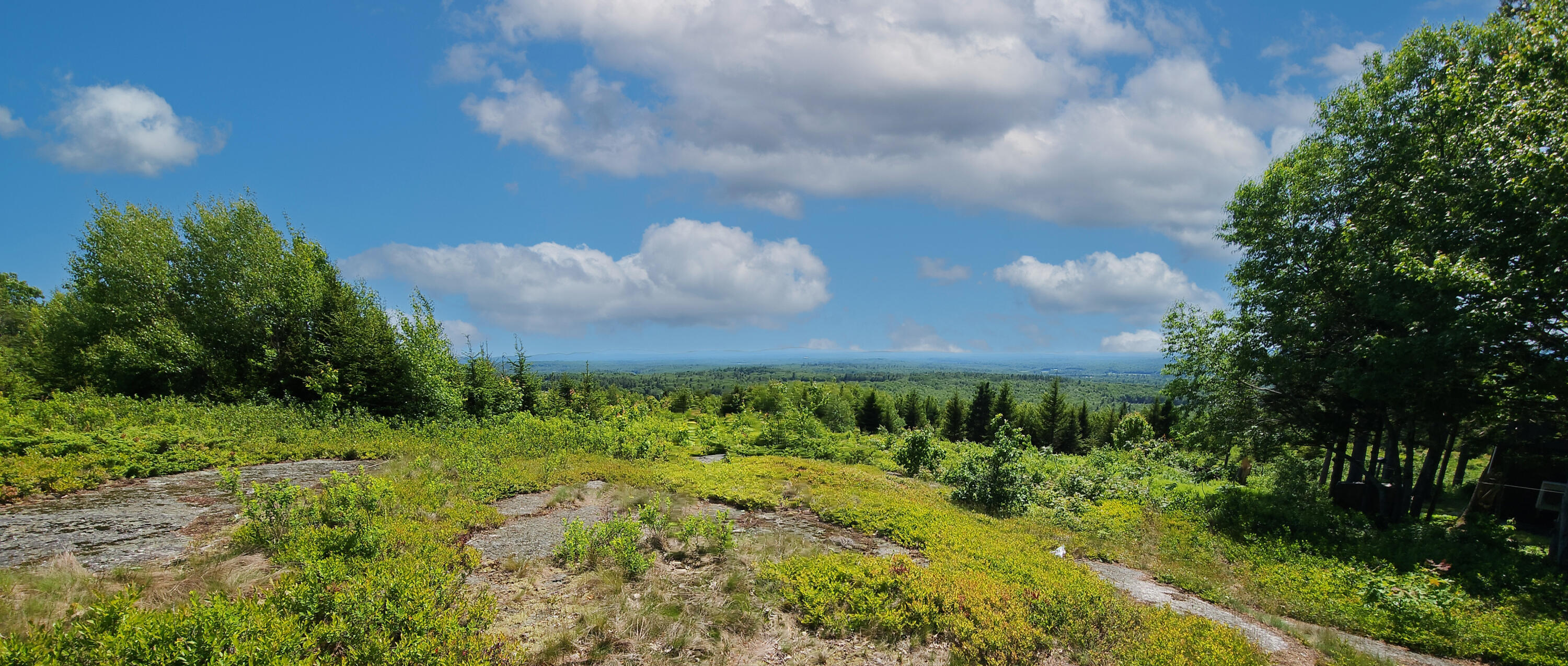 533 Mt Ephraim Road Searsport, ME 04974 - Photo 38 of 111 20250621_145149