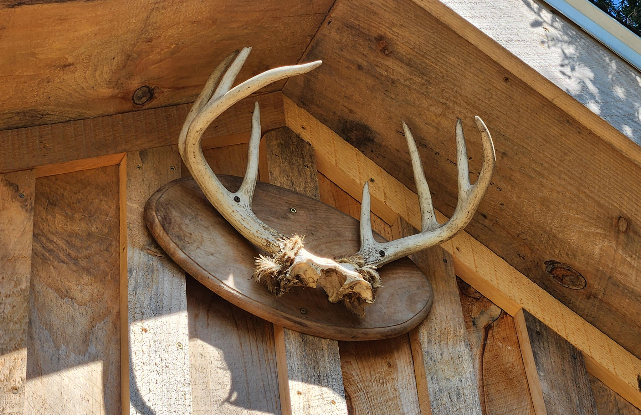 533 Mt Ephraim Road Searsport, ME 04974 - Photo 46 of 111 20250621_150255