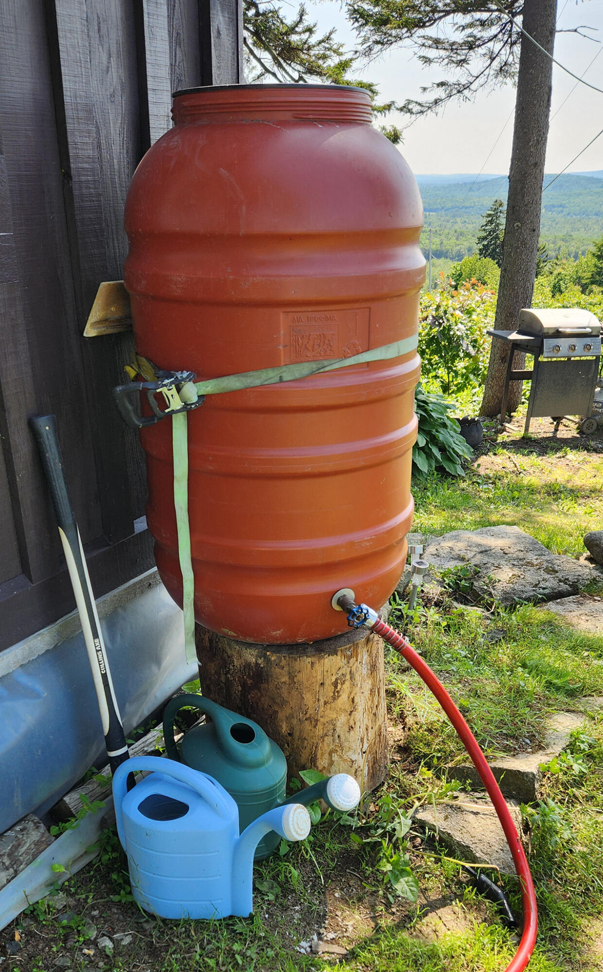 533 Mt Ephraim Road Searsport, ME 04974 - Photo 55 of 111 20250621_154515