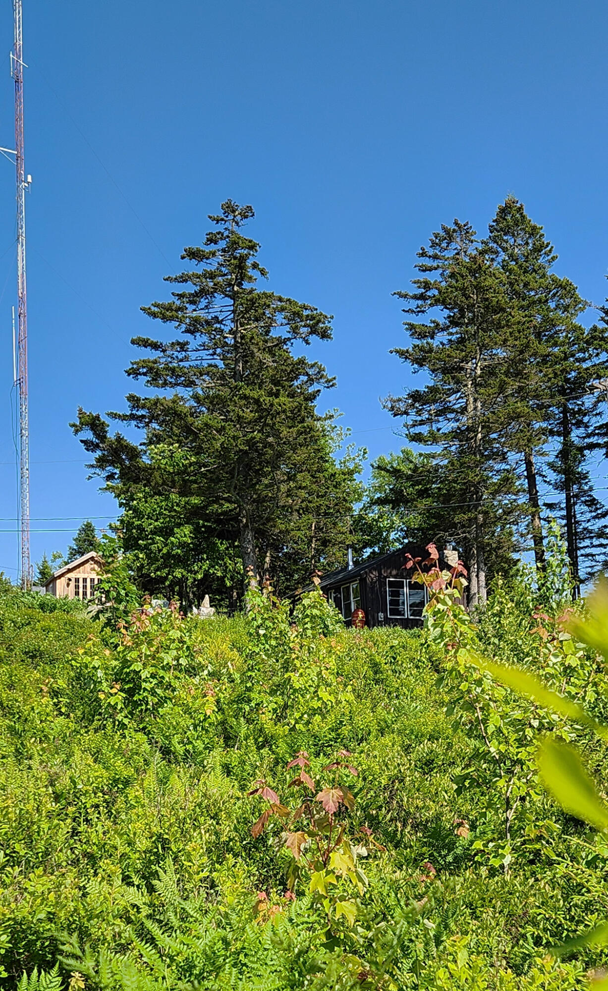 533 Mt Ephraim Road Searsport, ME 04974 - Photo 57 of 111 20250621_155009