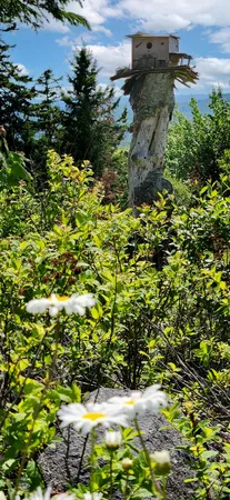 $900,000 | 533 Mt Ephraim Road, Searsport, ME 04974