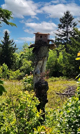 $900,000 | 533 Mt Ephraim Road, Searsport, ME 04974
