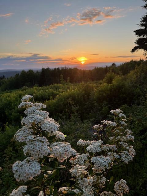 533 Mt Ephraim Road Searsport, ME 04974 - Photo 6 of 111 pic 7