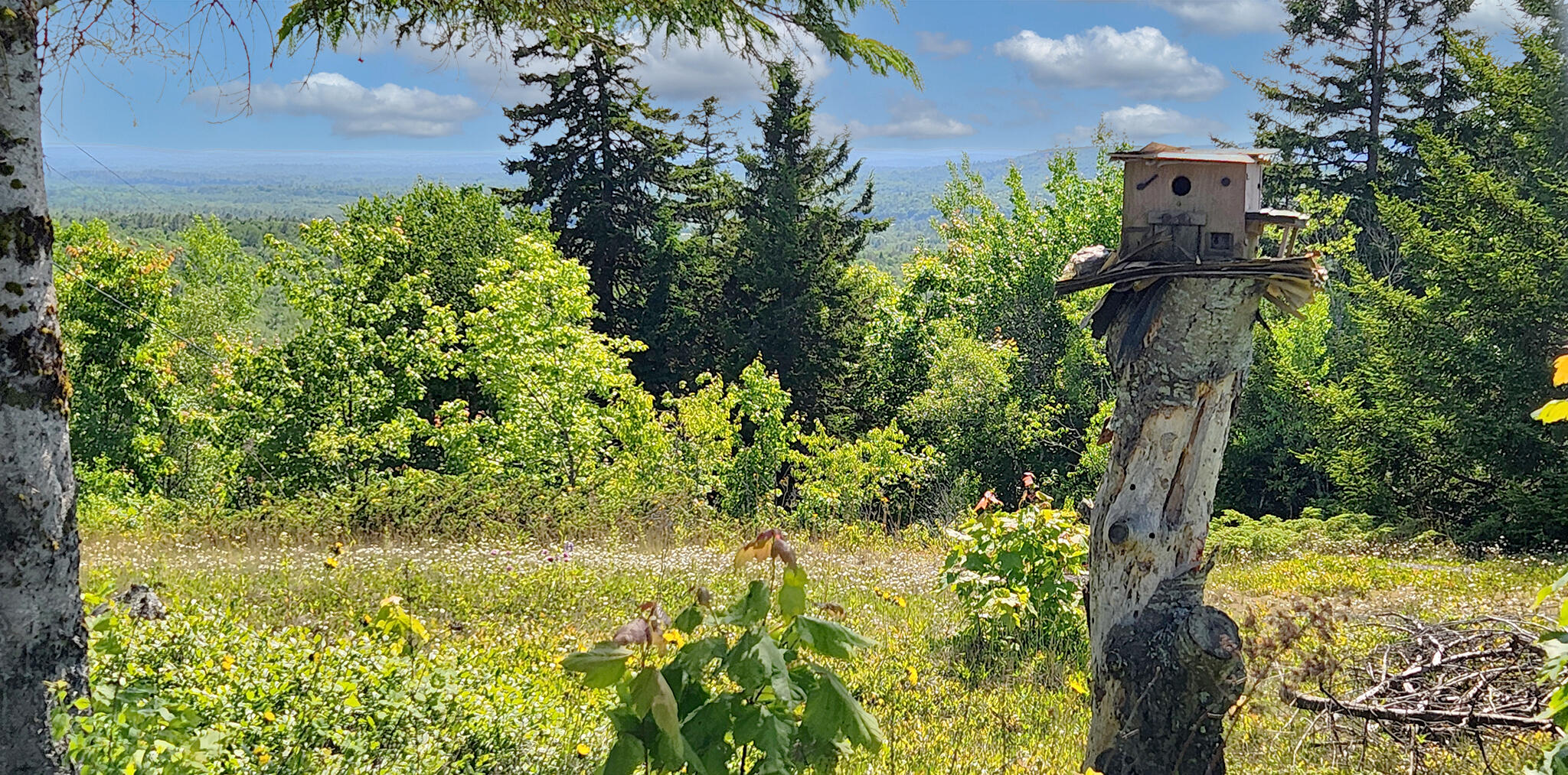 533 Mt Ephraim Road Searsport, ME 04974 - Photo 61 of 111 20250621_155128