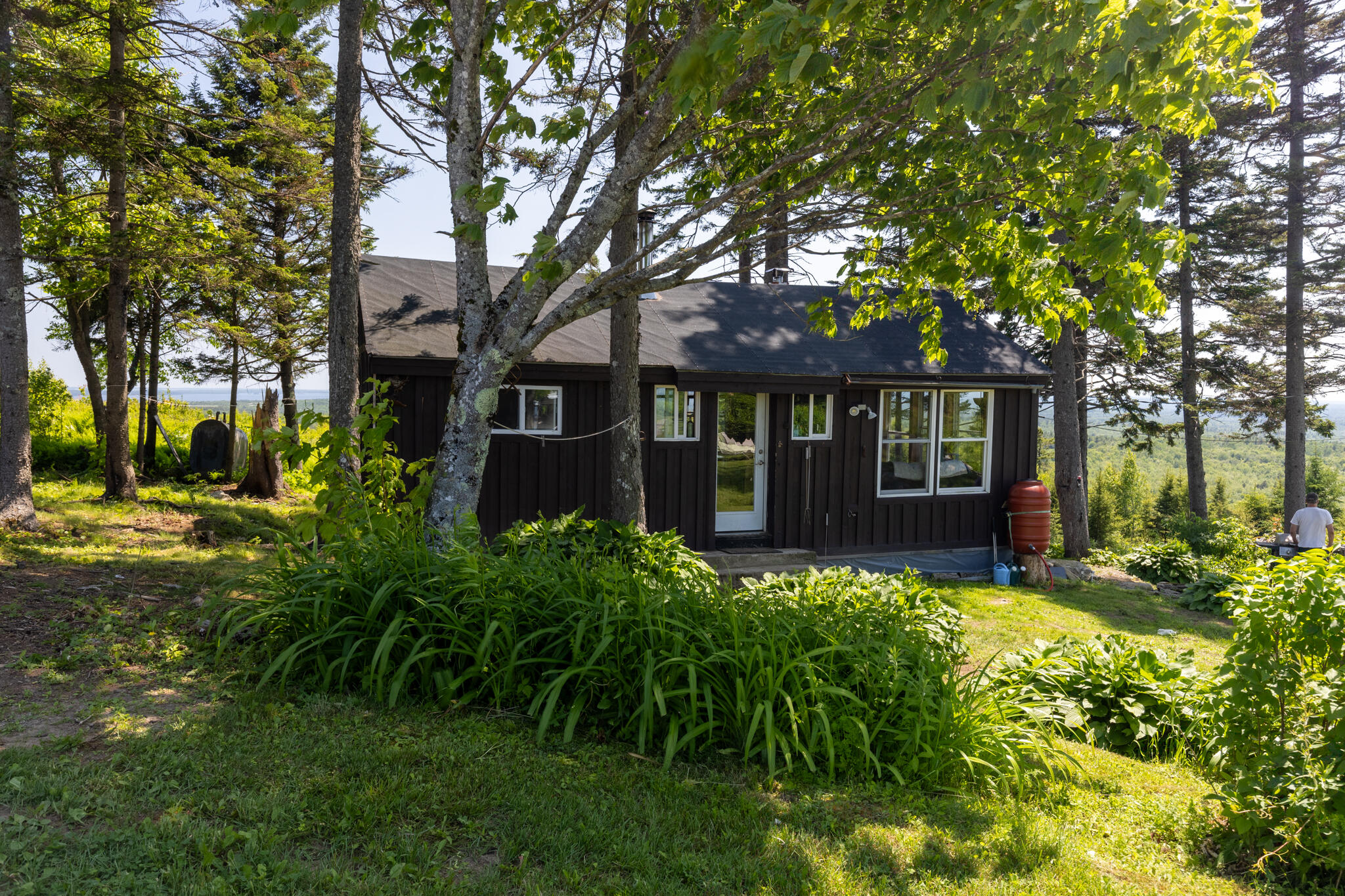 533 Mt Ephraim Road Searsport, ME 04974 - Photo 72 of 111 20250621-_MG_2303-HDR