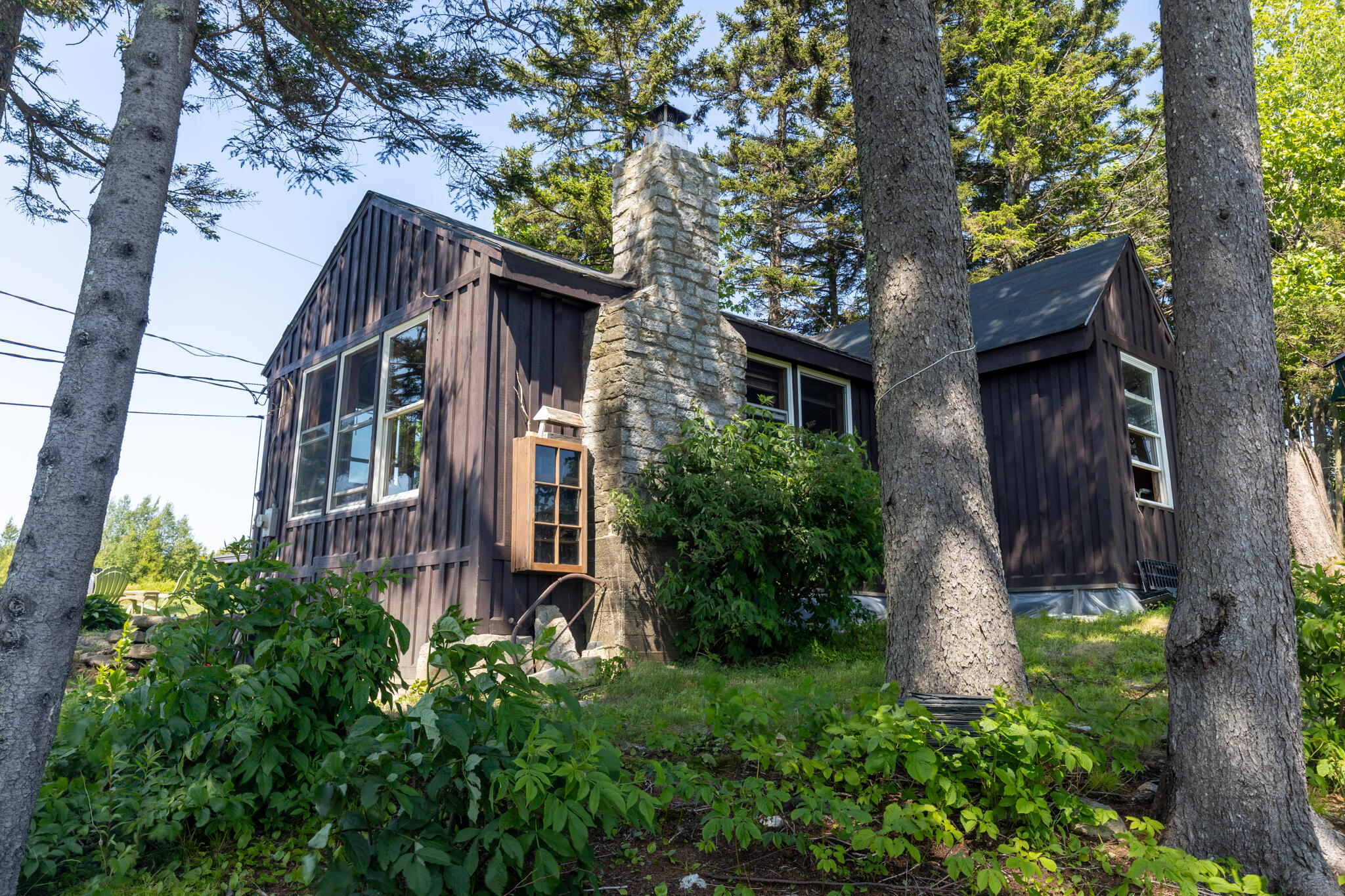 533 Mt Ephraim Road Searsport, ME 04974 - Photo 74 of 111 20250621-_MG_2313-HDR