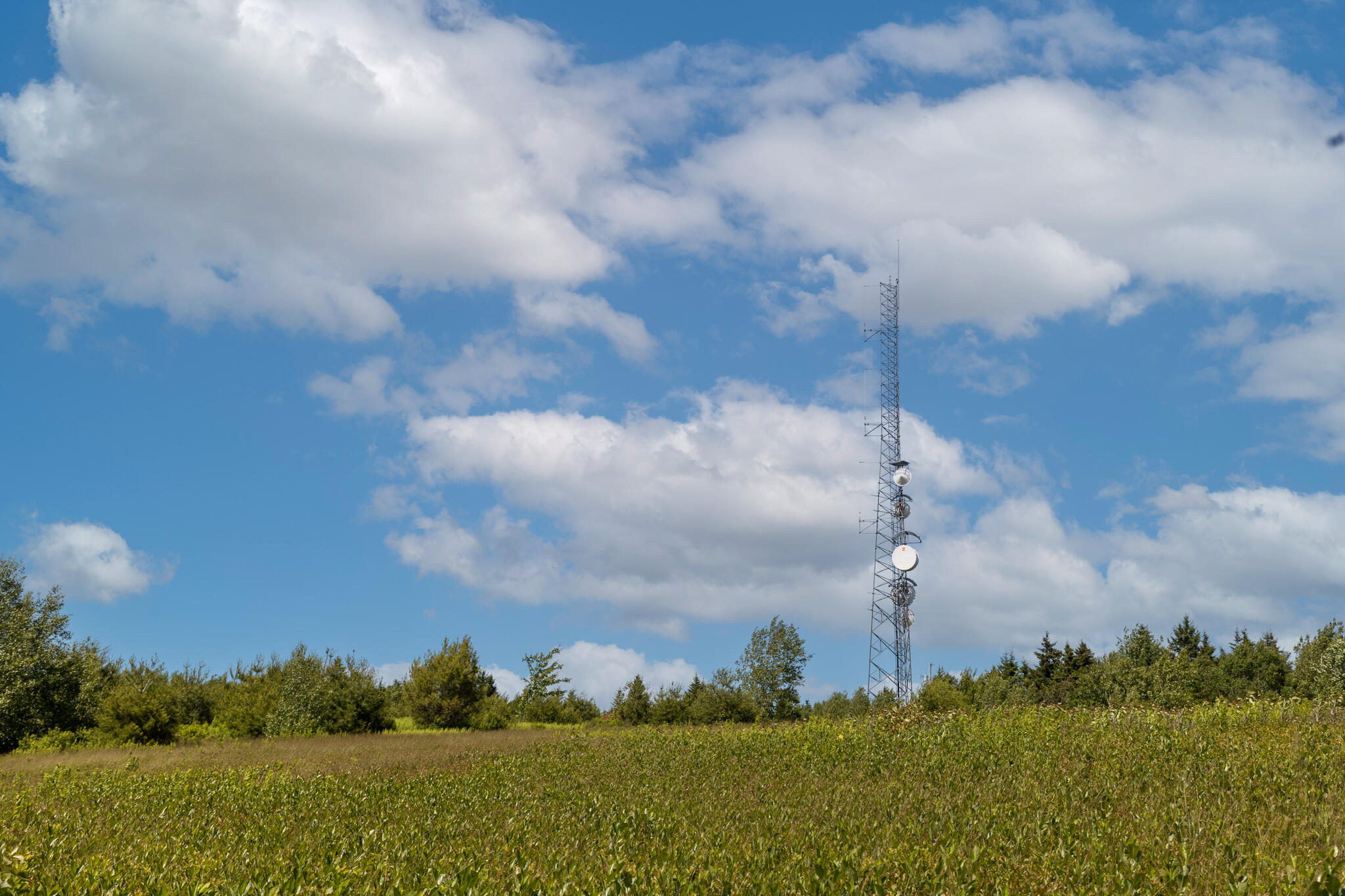 533 Mt Ephraim Road Searsport, ME 04974 - Photo 79 of 111 20250621-_MG_2343-HDR