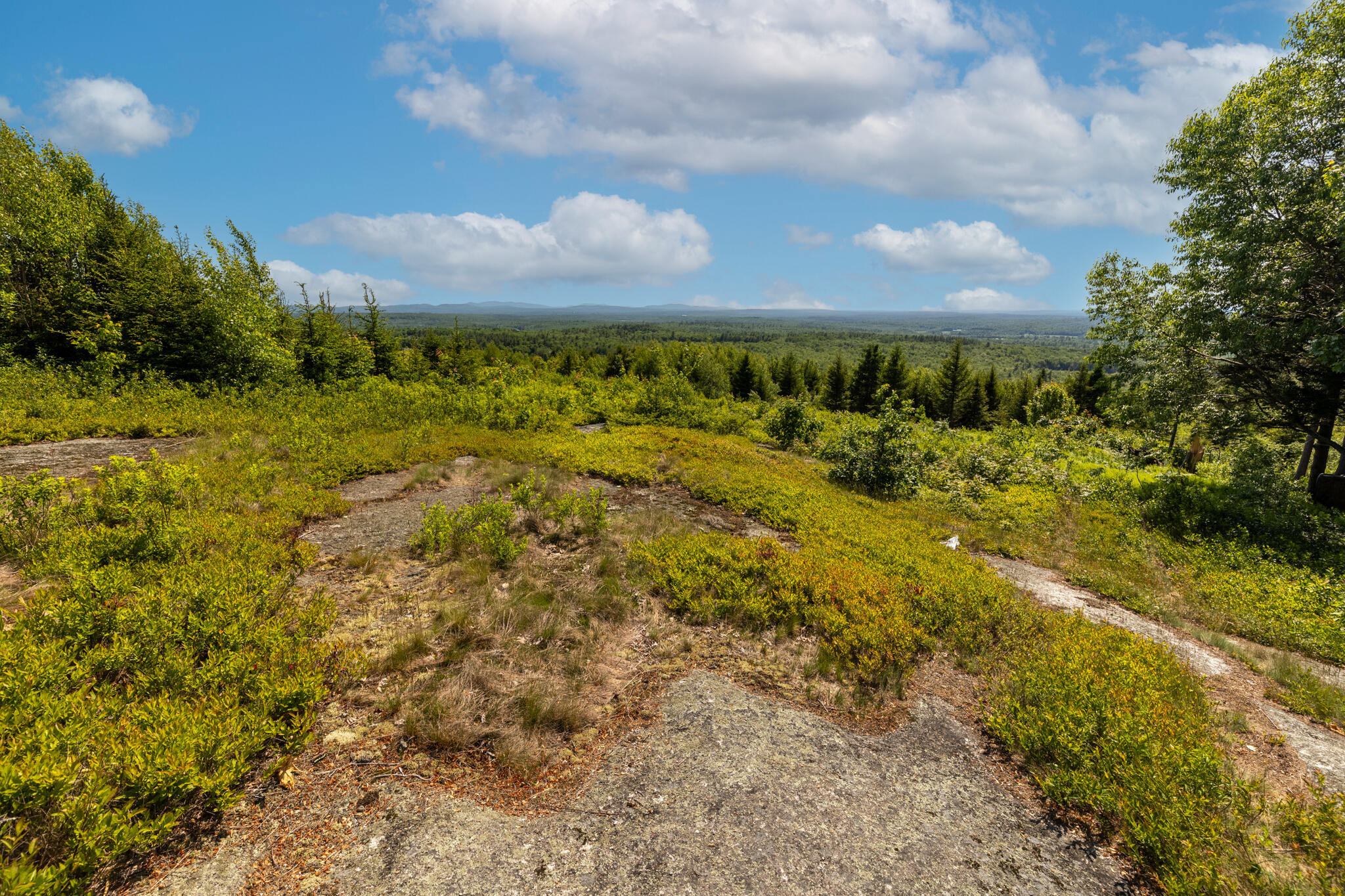 533 Mt Ephraim Road Searsport, ME 04974 - Photo 83 of 111 20250621-_MG_2368-HDR