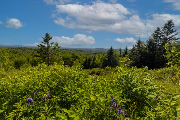 $900,000 | 533 Mt Ephraim Road, Searsport, ME 04974