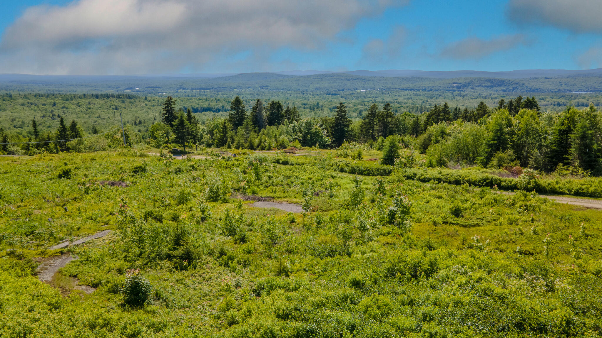 533 Mt Ephraim Road Searsport, ME 04974 - Photo 96 of 111 20250621-DJI_0012-HDR
