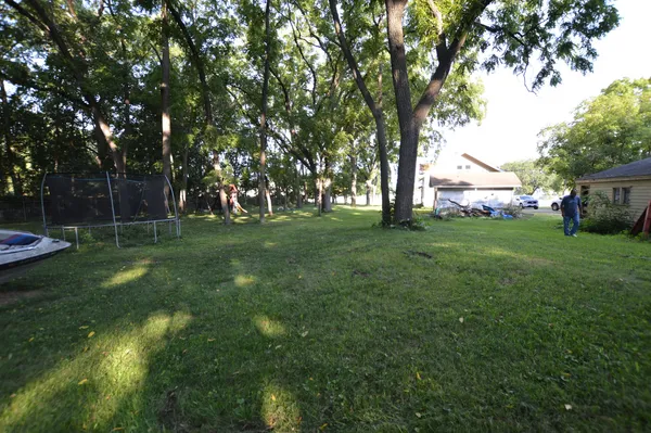 a view of a park with large trees