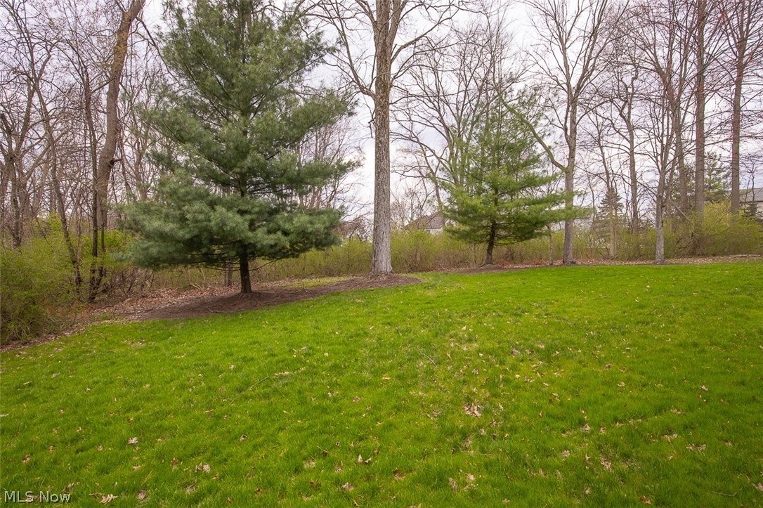 7282 Holzhauer Road Northfield, OH 44067 - Photo 37 of 47