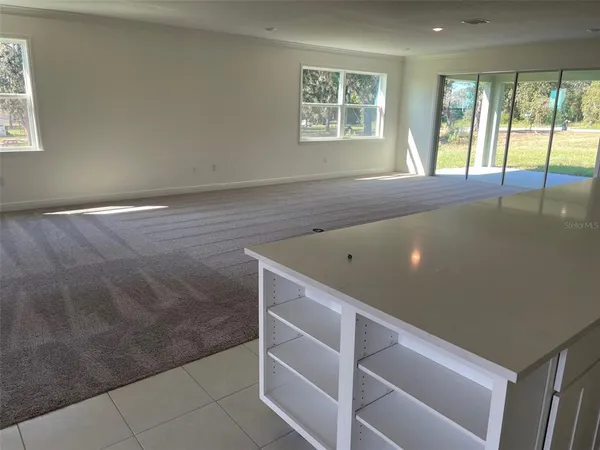 $3,675 | 10060 Dolphin Gull Circle, Thonotosassa, FL 33592