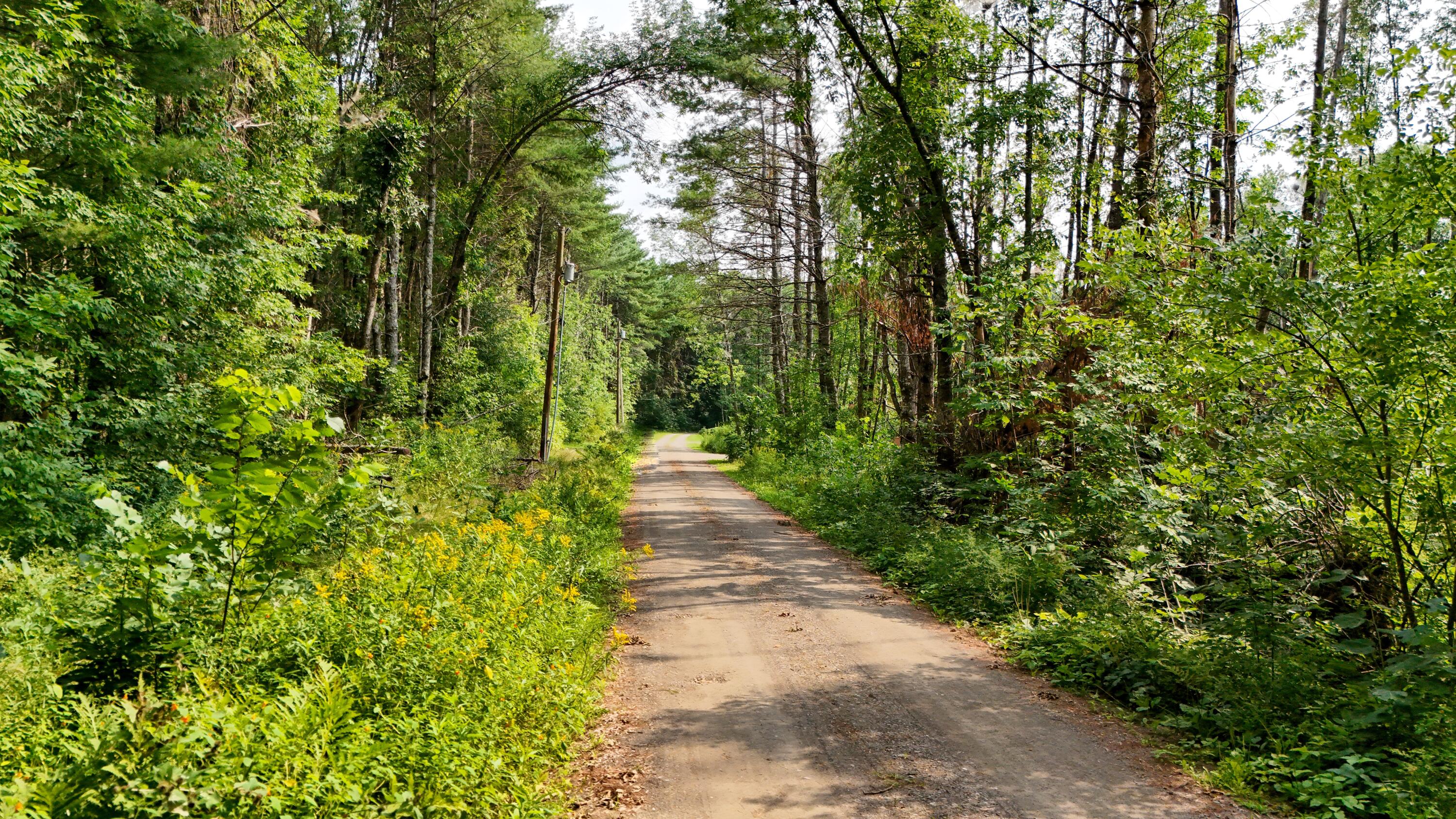 Lot 3 Robin Lane Unity, ME 04988 - Photo 10 of 16 DJI_20240813154258_0164_D