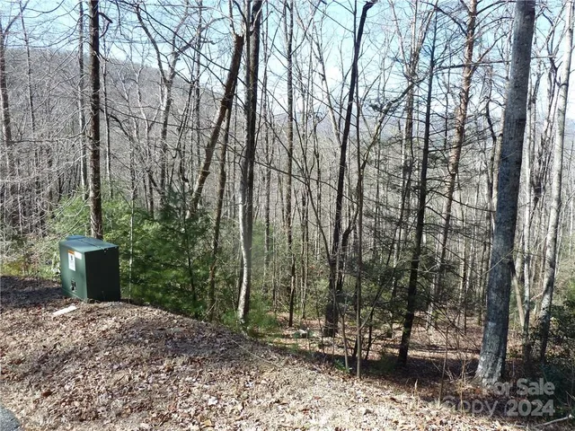 $89,900 | 79 Peppervine Circle, Unit L79, Rosman, NC 28772