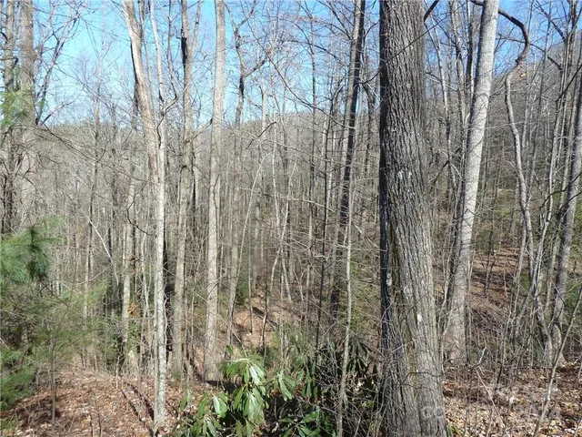 $89,900 | 79 Peppervine Circle, Unit L79, Rosman, NC 28772