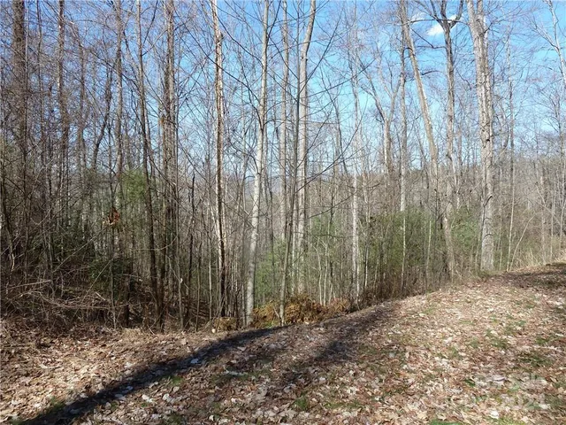 $89,900 | 79 Peppervine Circle, Unit L79, Rosman, NC 28772