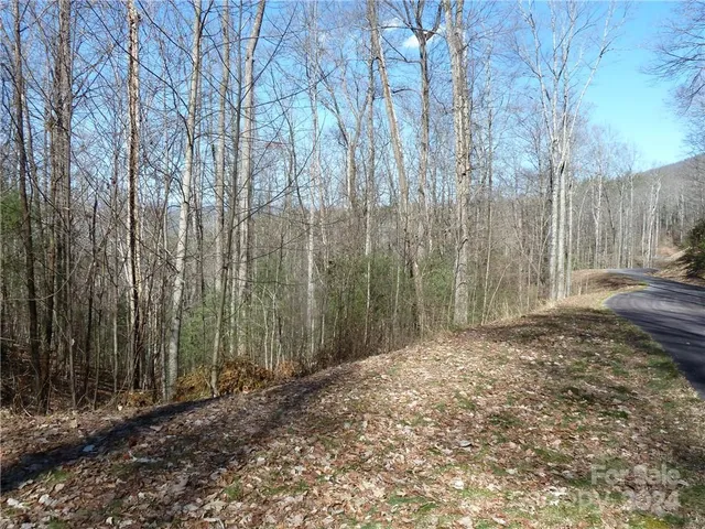 $89,900 | 79 Peppervine Circle, Unit L79, Rosman, NC 28772