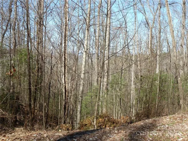 $89,900 | 79 Peppervine Circle, Unit L79, Rosman, NC 28772