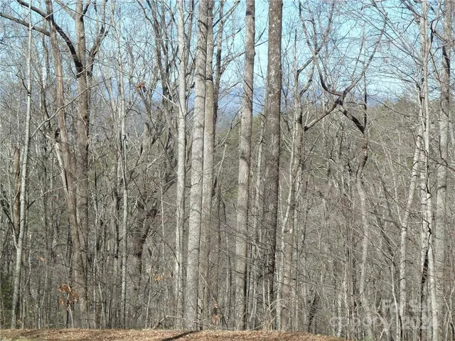 $89,900 | 79 Peppervine Circle, Unit L79, Rosman, NC 28772