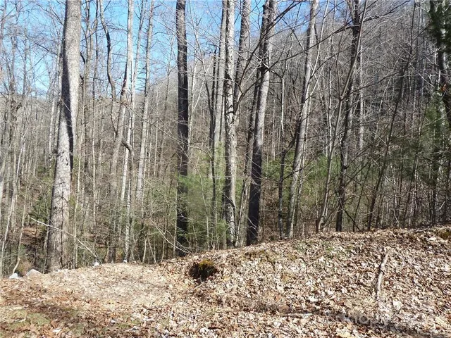 $89,900 | 79 Peppervine Circle, Unit L79, Rosman, NC 28772