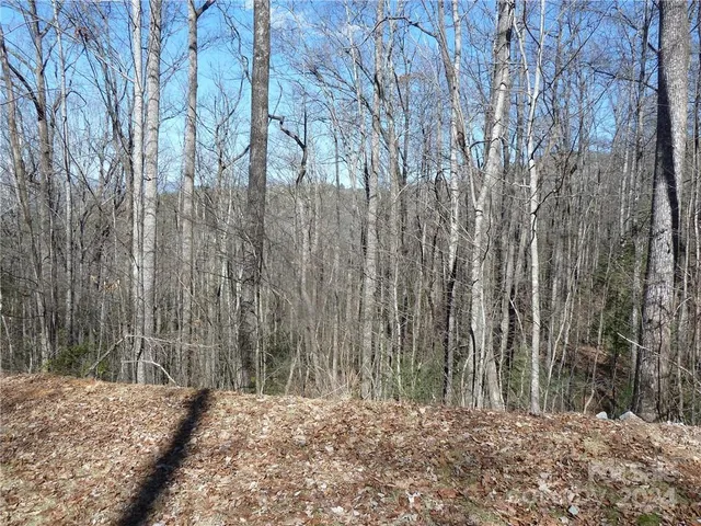 $89,900 | 79 Peppervine Circle, Unit L79, Rosman, NC 28772