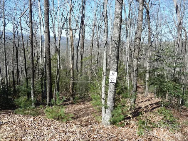 $89,900 | 79 Peppervine Circle, Unit L79, Rosman, NC 28772