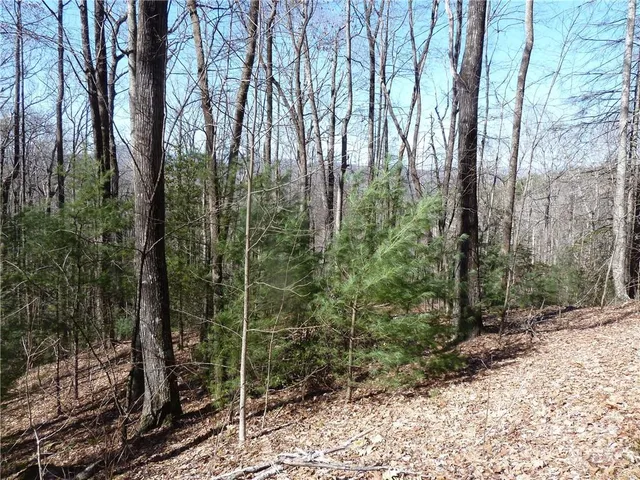 $89,900 | 79 Peppervine Circle, Unit L79, Rosman, NC 28772