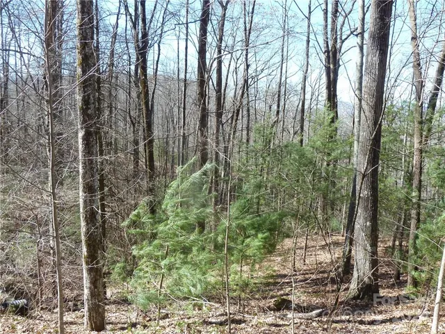 $89,900 | 79 Peppervine Circle, Unit L79, Rosman, NC 28772