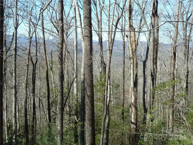 $89,900 | 79 Peppervine Circle, Unit L79, Rosman, NC 28772