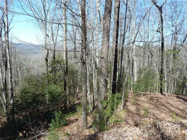 $89,900 | 79 Peppervine Circle, Unit L79, Rosman, NC 28772