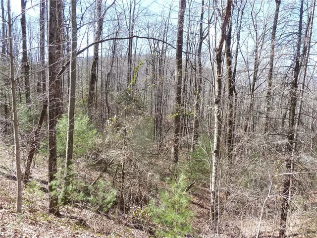 $89,900 | 79 Peppervine Circle, Unit L79, Rosman, NC 28772