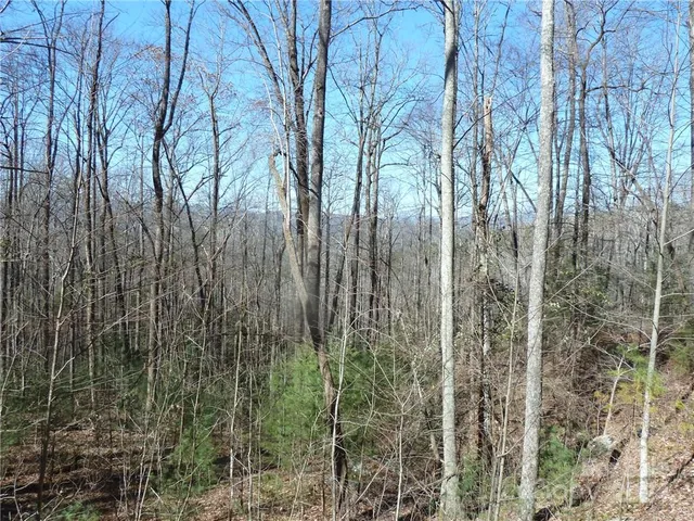 $89,900 | 79 Peppervine Circle, Unit L79, Rosman, NC 28772